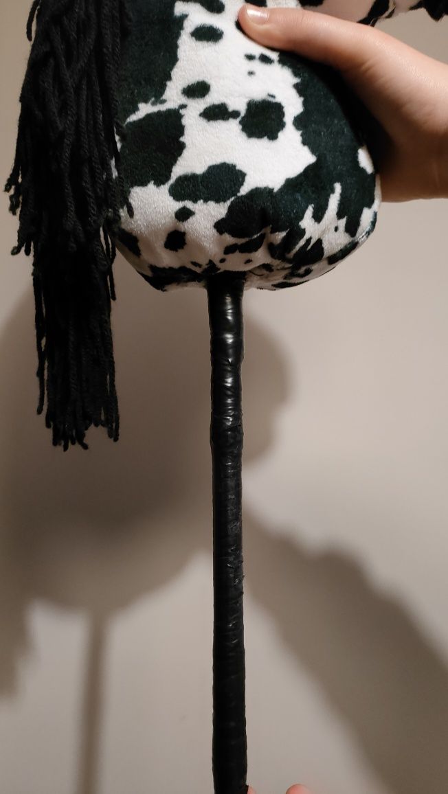 Konik hobby horse tarantowate A4