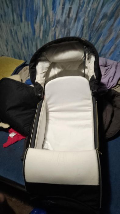 Wózek Adamex Reggio 2w1