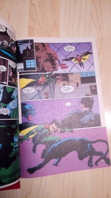 Batman the misfits komiksy
