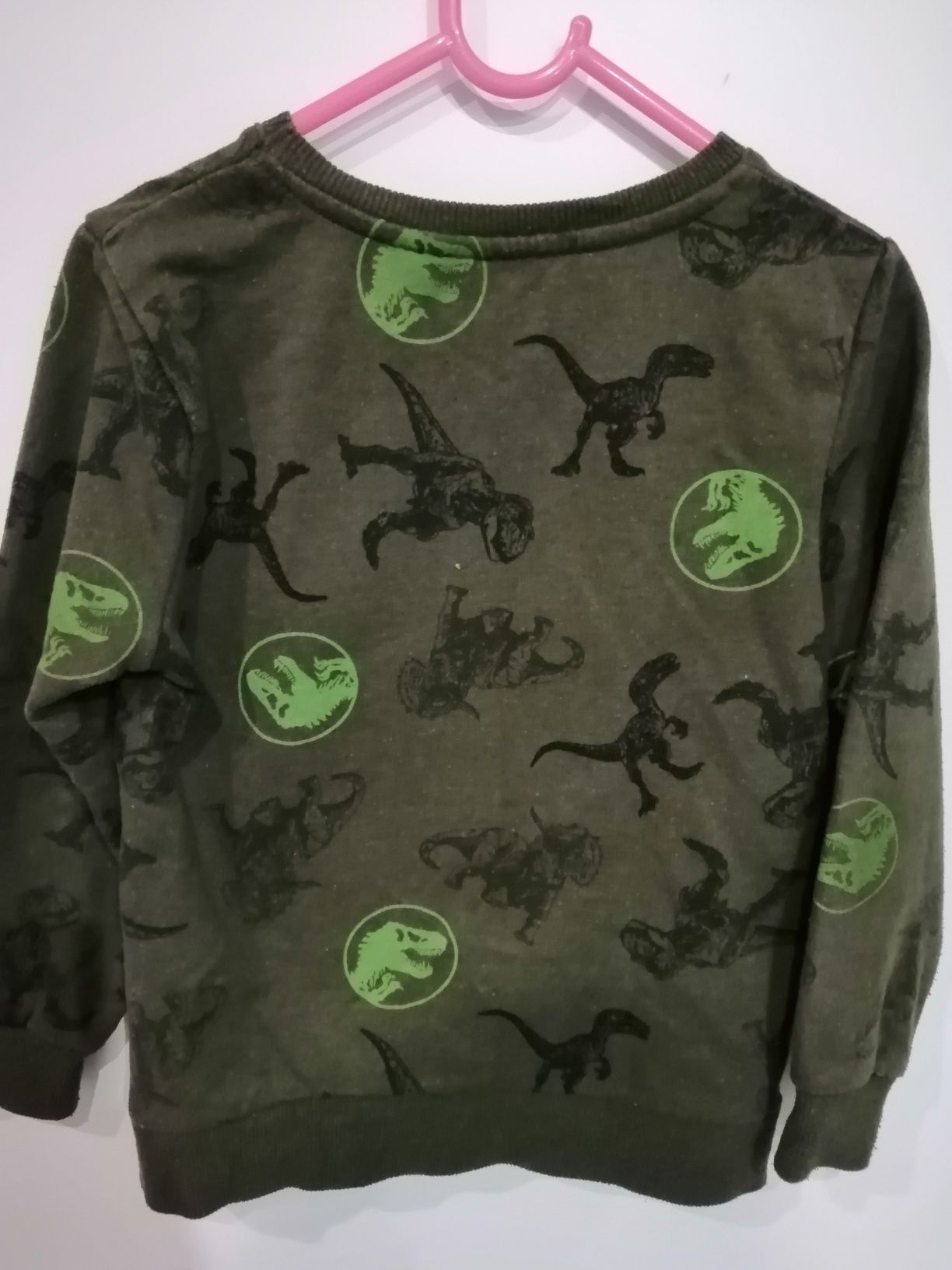 Bluza jurassic park 122