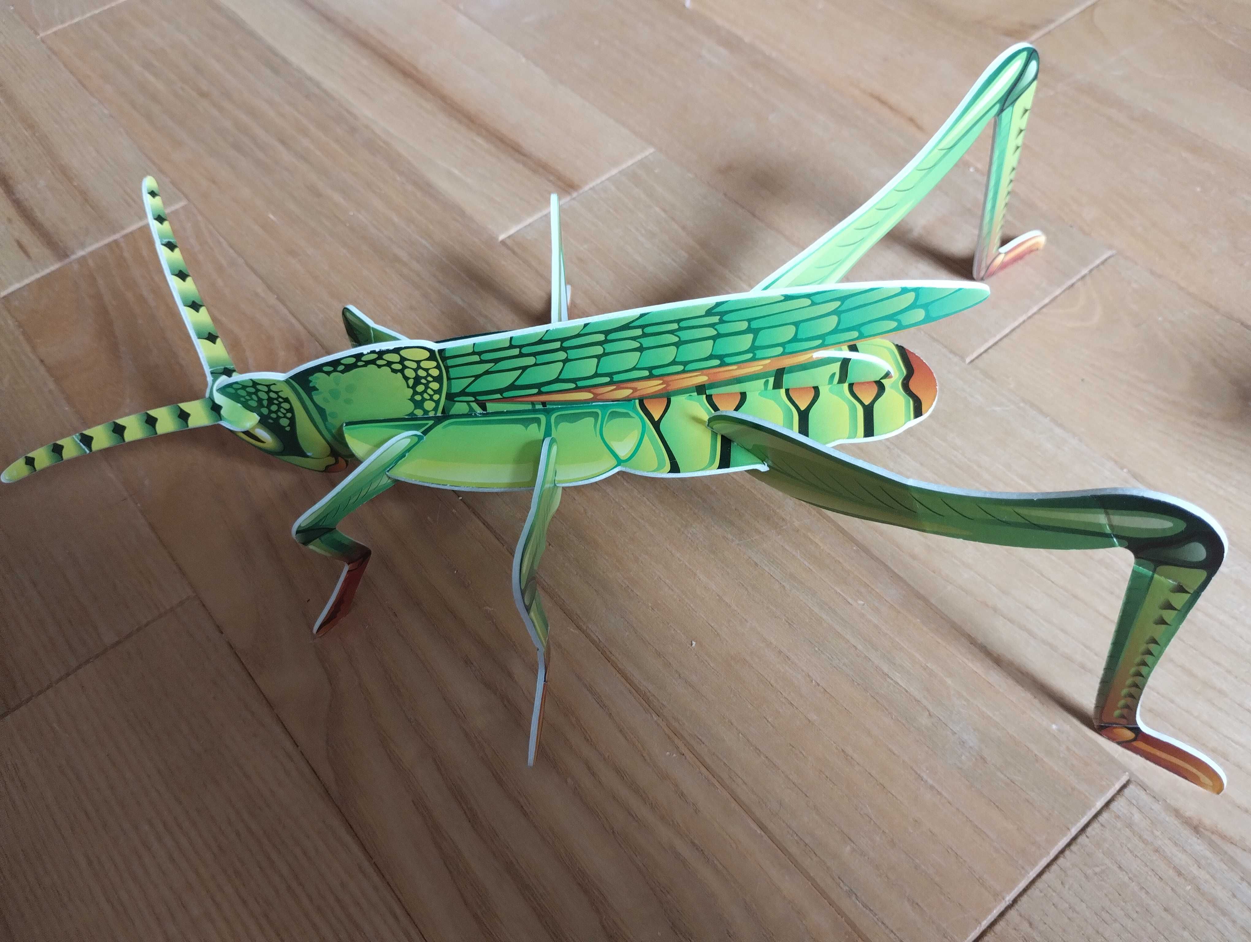 Układanka puzzle 3D, owady do składania: motyl, biedronka, pasikonik