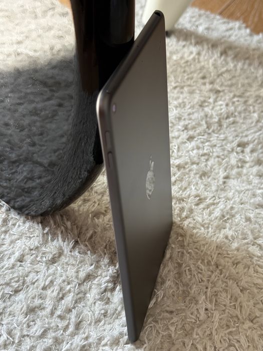 Apple iPad Mini 5 256Gb
