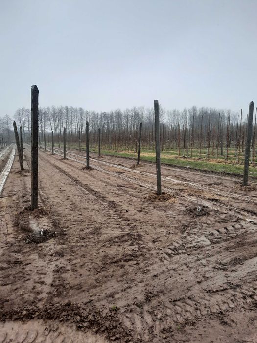 Wercenie ,pod slupy sadownicze ,wstawianie, melioracje,drenaże .