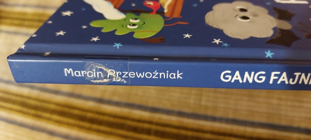 Gang fajniaków-zimowa przygoda