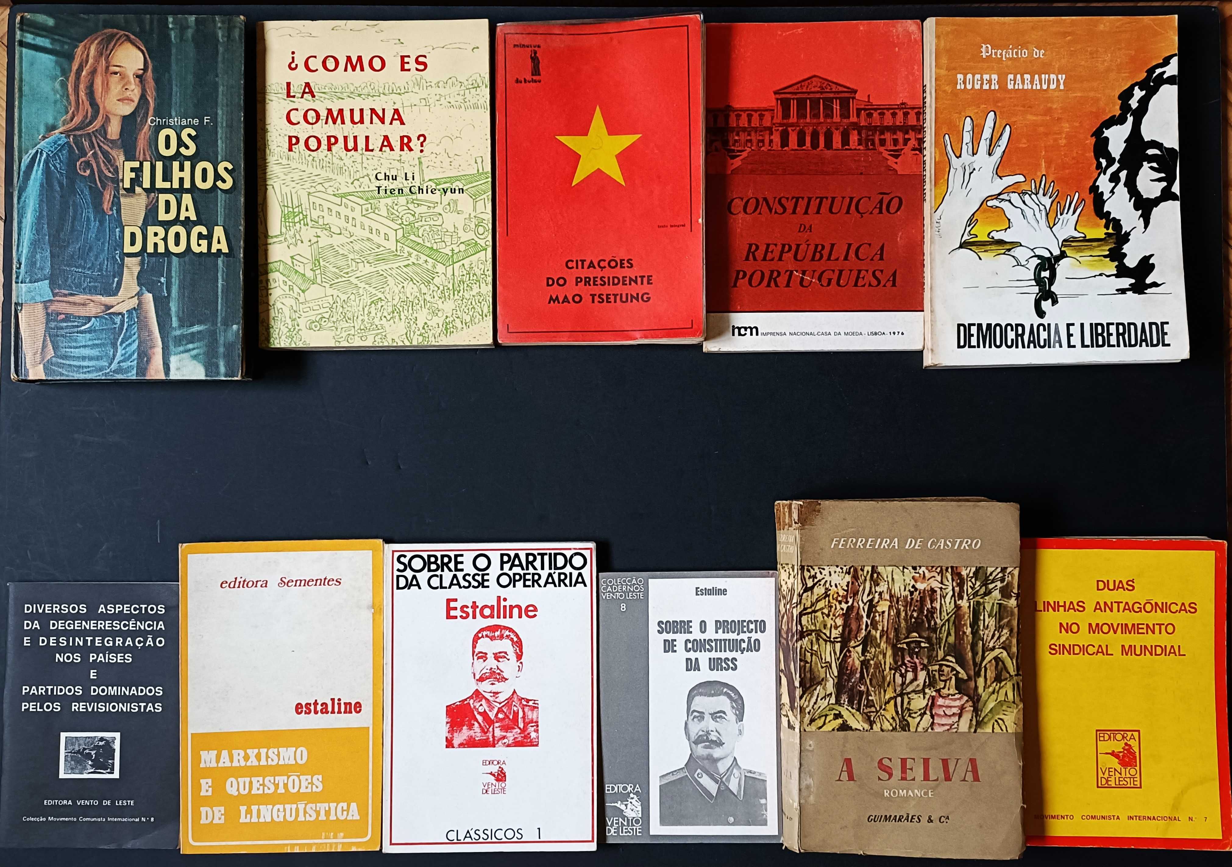 29 livros de literatura variada. Apenas 40€.