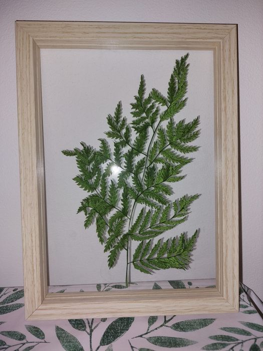 Glasspik obraz 30x30 plus gratis