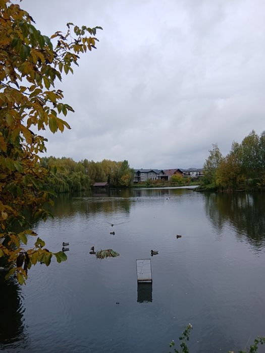 Суперовий дуплекс, з великою ділянкою