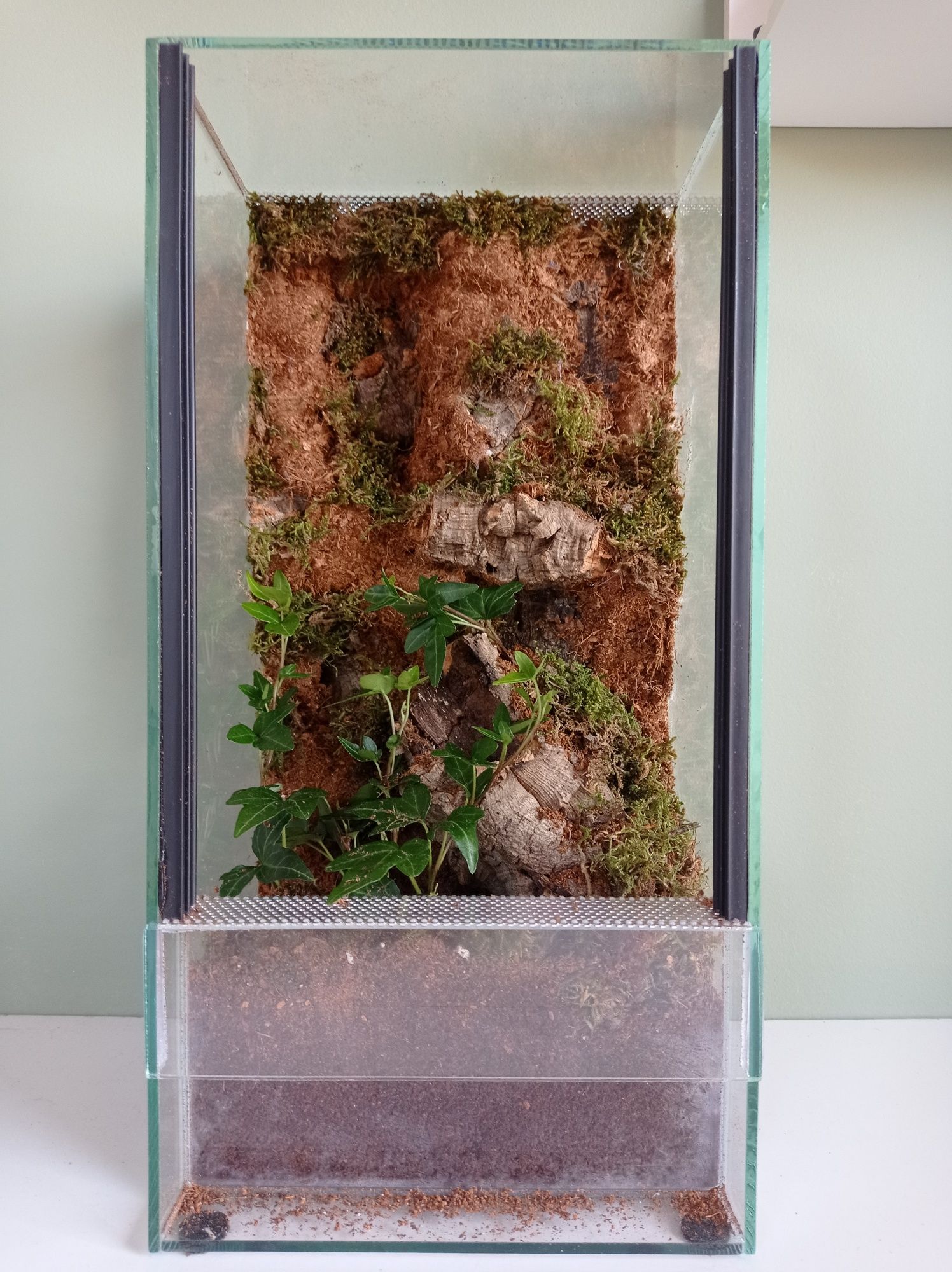 Terrarium 20x20x40 ze ścianką