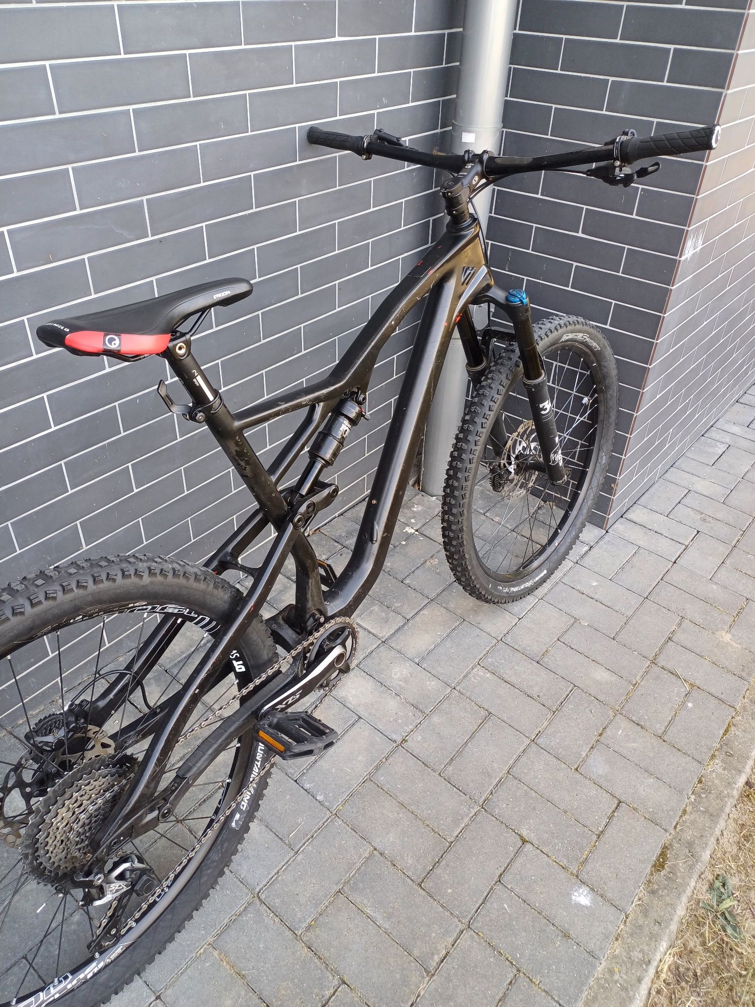 Rower Mtb Rotwild R.X2 2018 rama carbon
