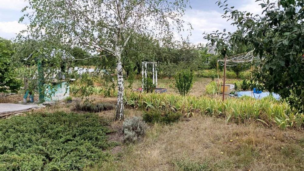 Продам дом в Подгородном с отличным участком