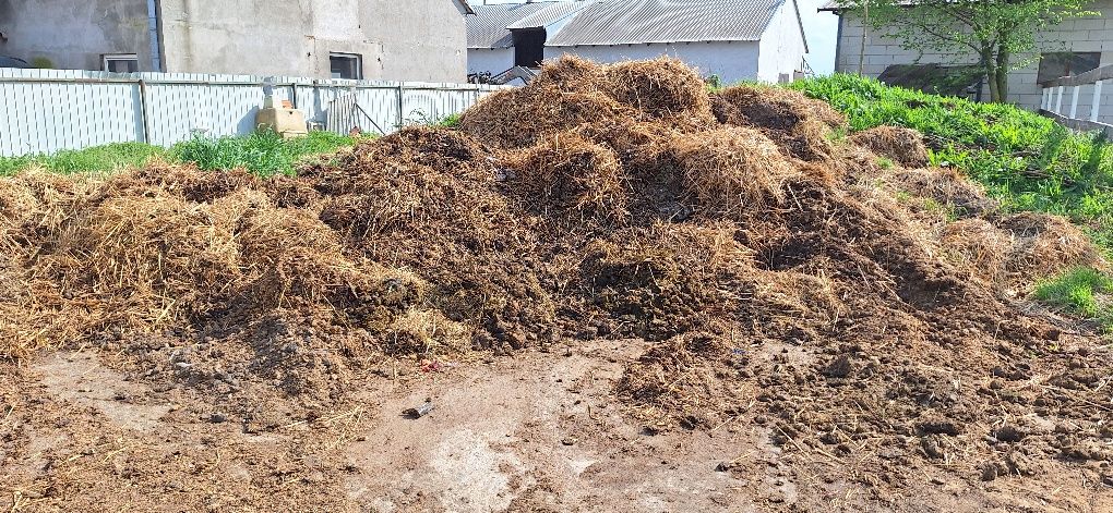 Obornik koński idelany pod warzywa