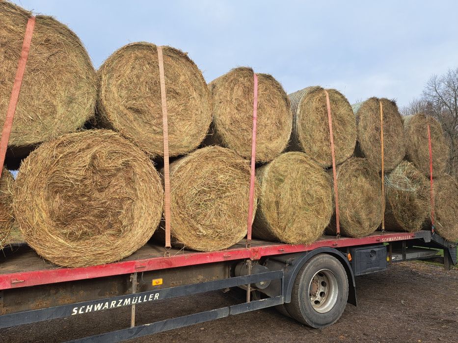 Siano w belach z transportem