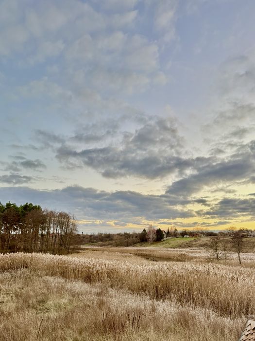 ‼️Дім, Якого Немає Аналогів. Ліс. Озеро. Ясногородка‼️