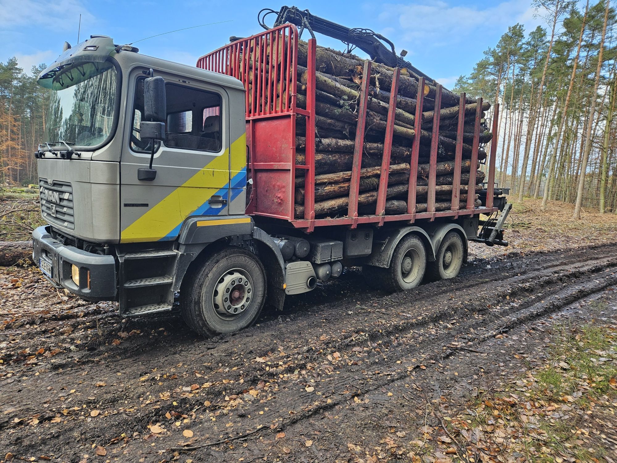 Transport Drewna z Lasu Chodzież Budzyń Margonin