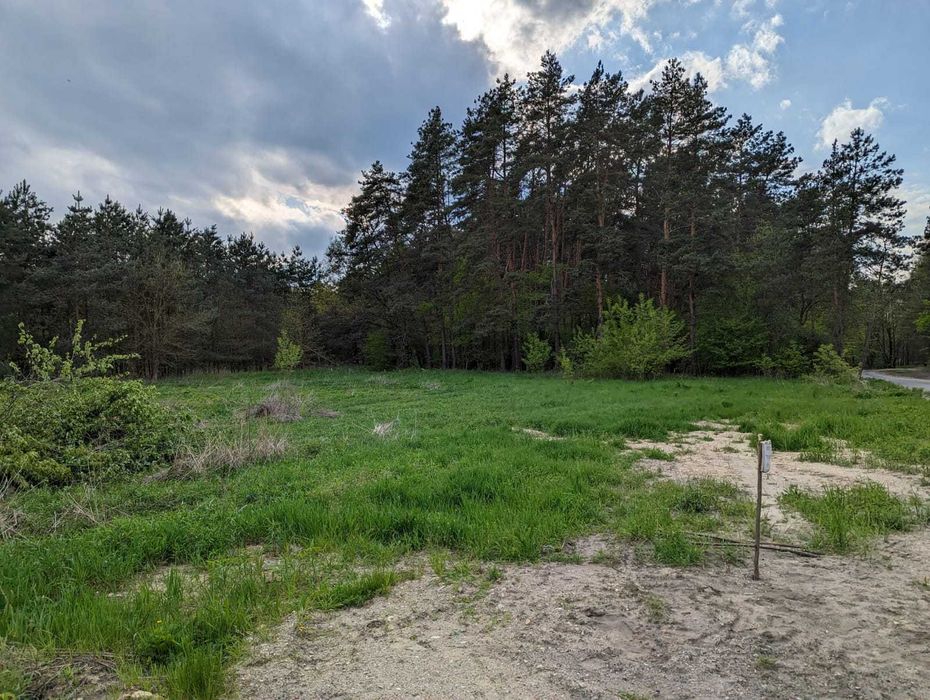 Piekna Działka 16 ar Annopol ul, Leśna blisko lasu i rzeki Wisły