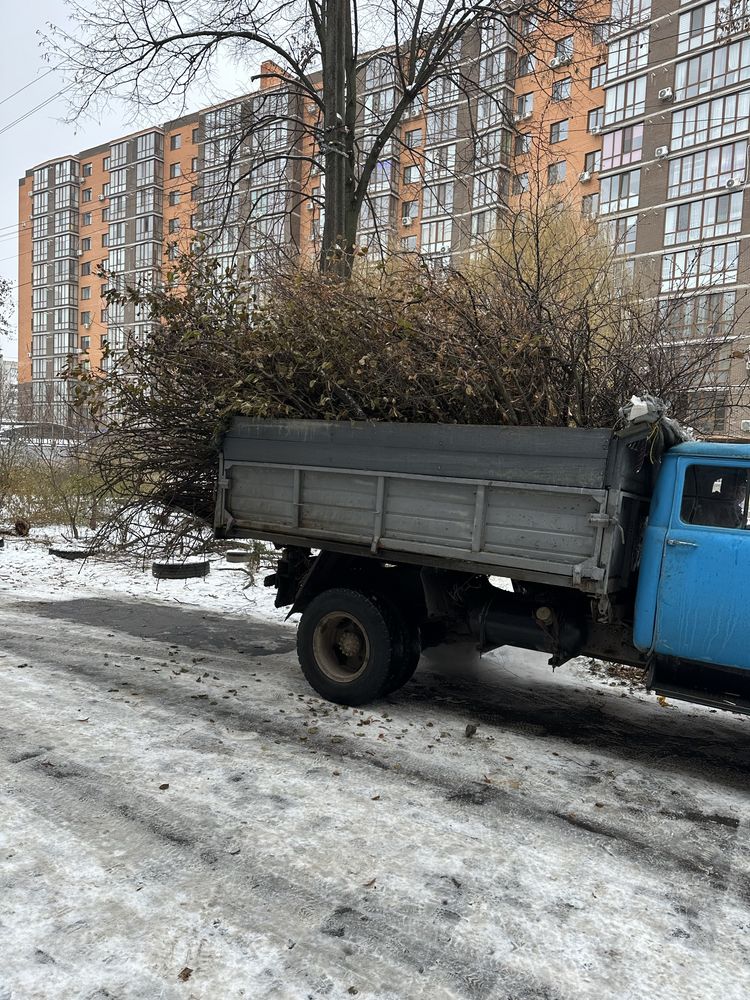 Послуги подрібнення гілок, оренда подрібнювача, зрізання дерев