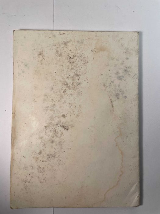 Tu És um Ser Humano