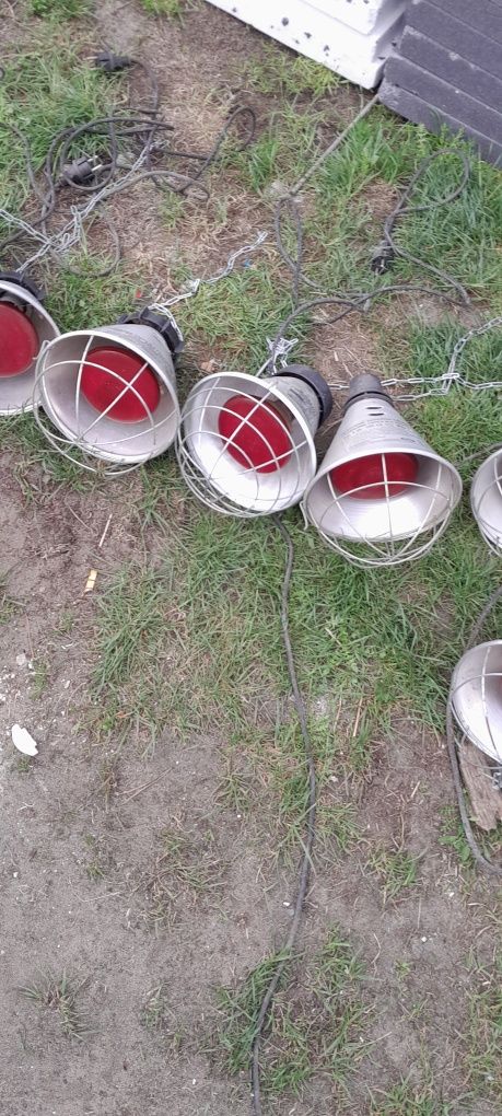 Lampy dla zwierząt promieńik ciepła