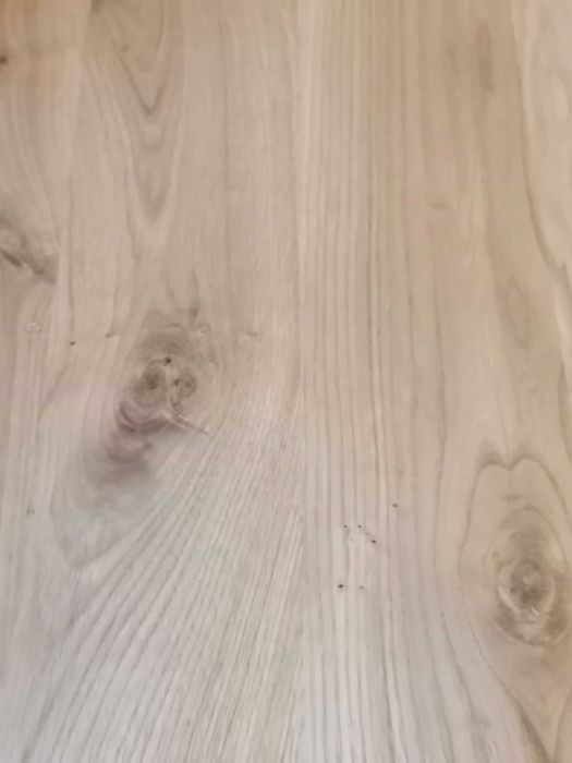 Stopnie, trepy, zabiegi, blaty dębowe w klasie rustyk, BC