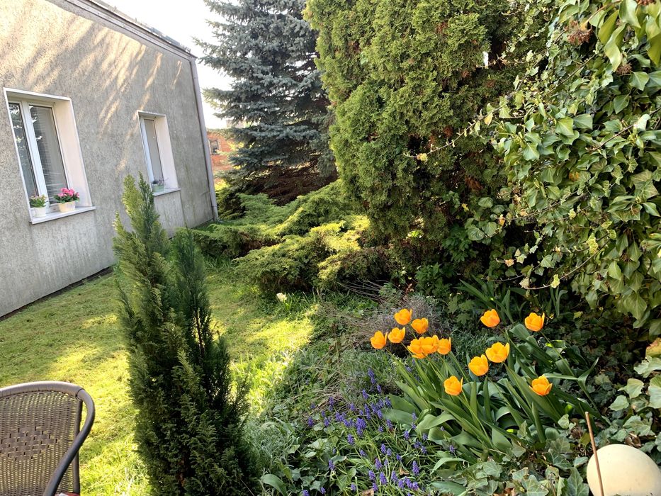 Dom z działką w świetnej lokalizacji w Aleksandrowie Kujawskim