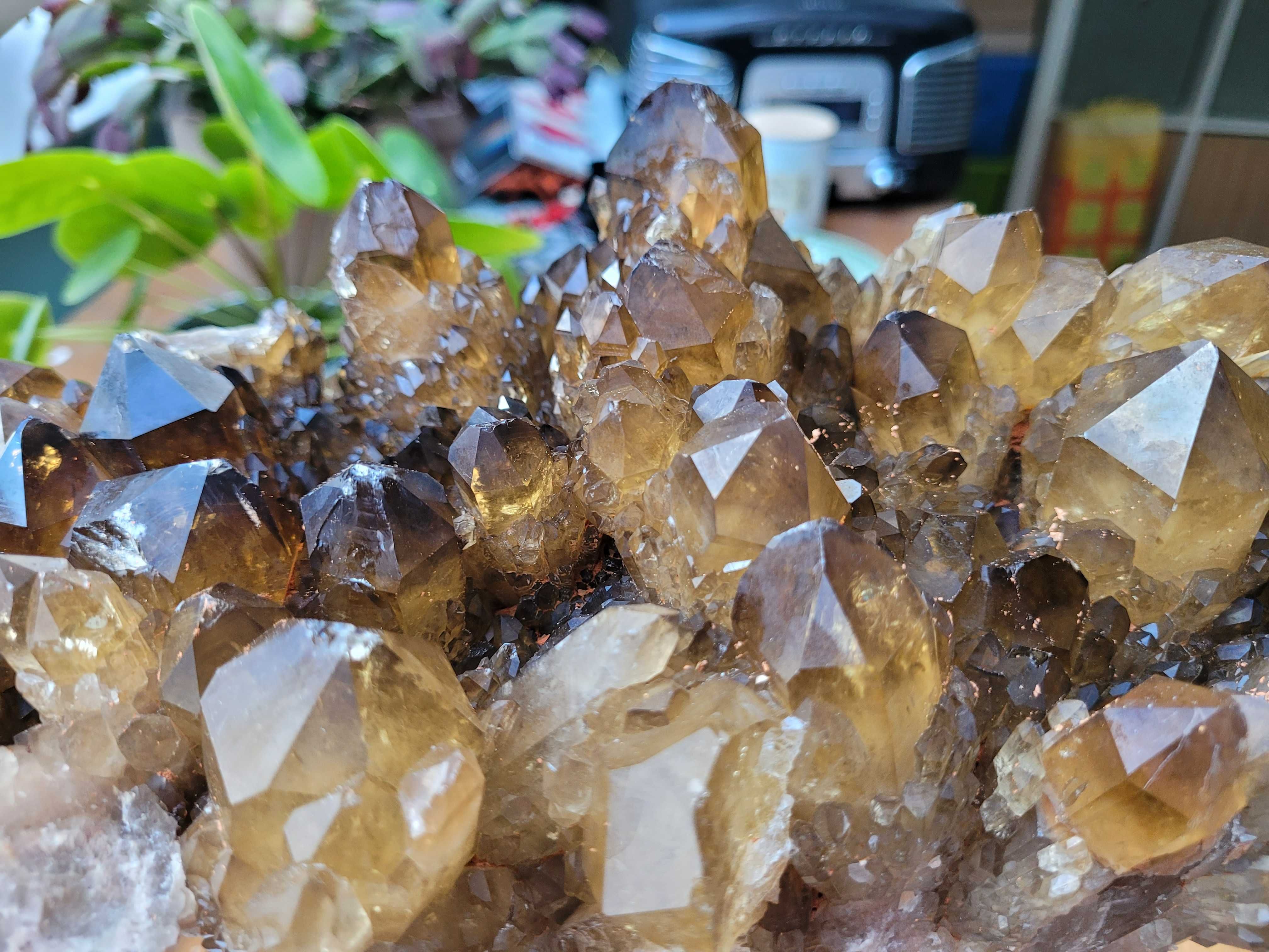 Cytryn Minerał Szczotka Naturalny 7 KG 30 CM Kongo Unikat