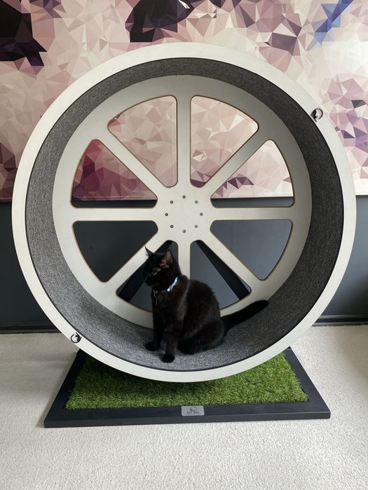 Бігове колесо для кота | Тренажер для кота