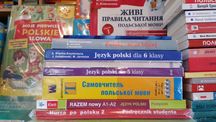 Польский язык самоучитель грамматика практикум словарь комплексный