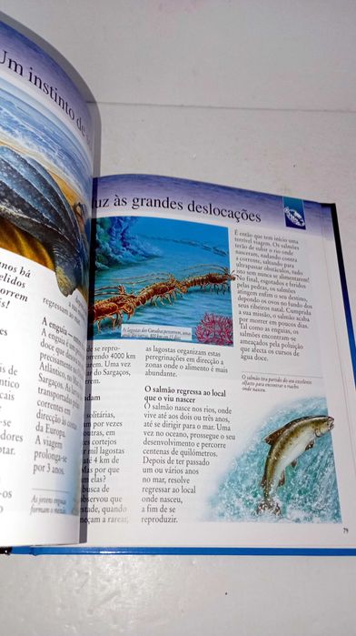 O Mar - Descoberta do Mundo - Imagem