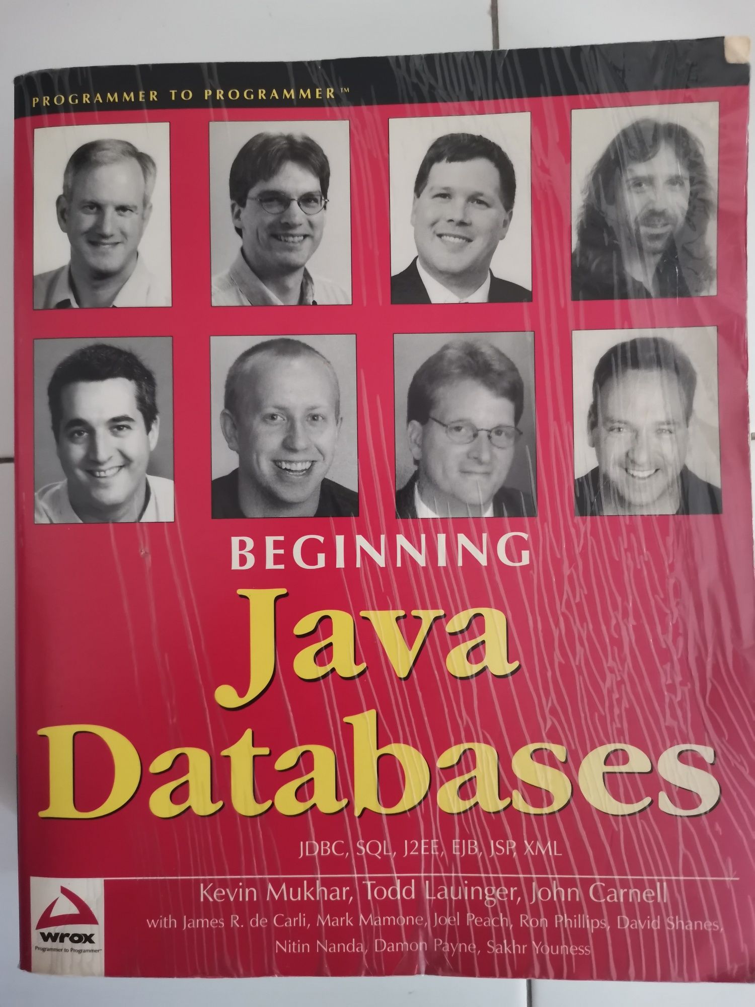 Livro Java Databases