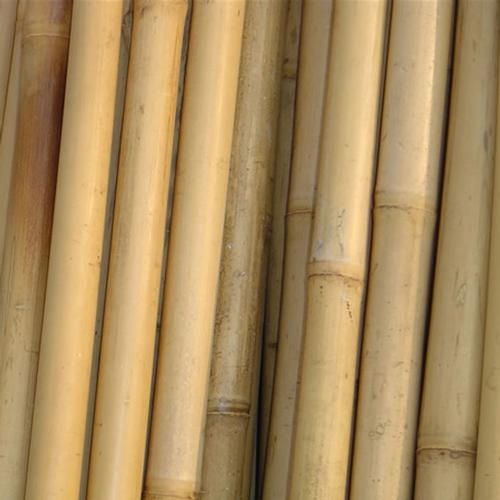 Canas de bambu de todos os tamanhos