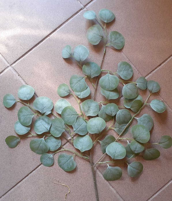 Liść sztuczny eukaliptus