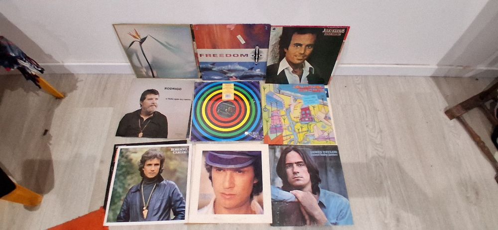 Lote discos de vinil