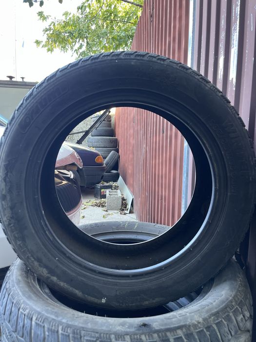 Зимова гума мішелін Оріум