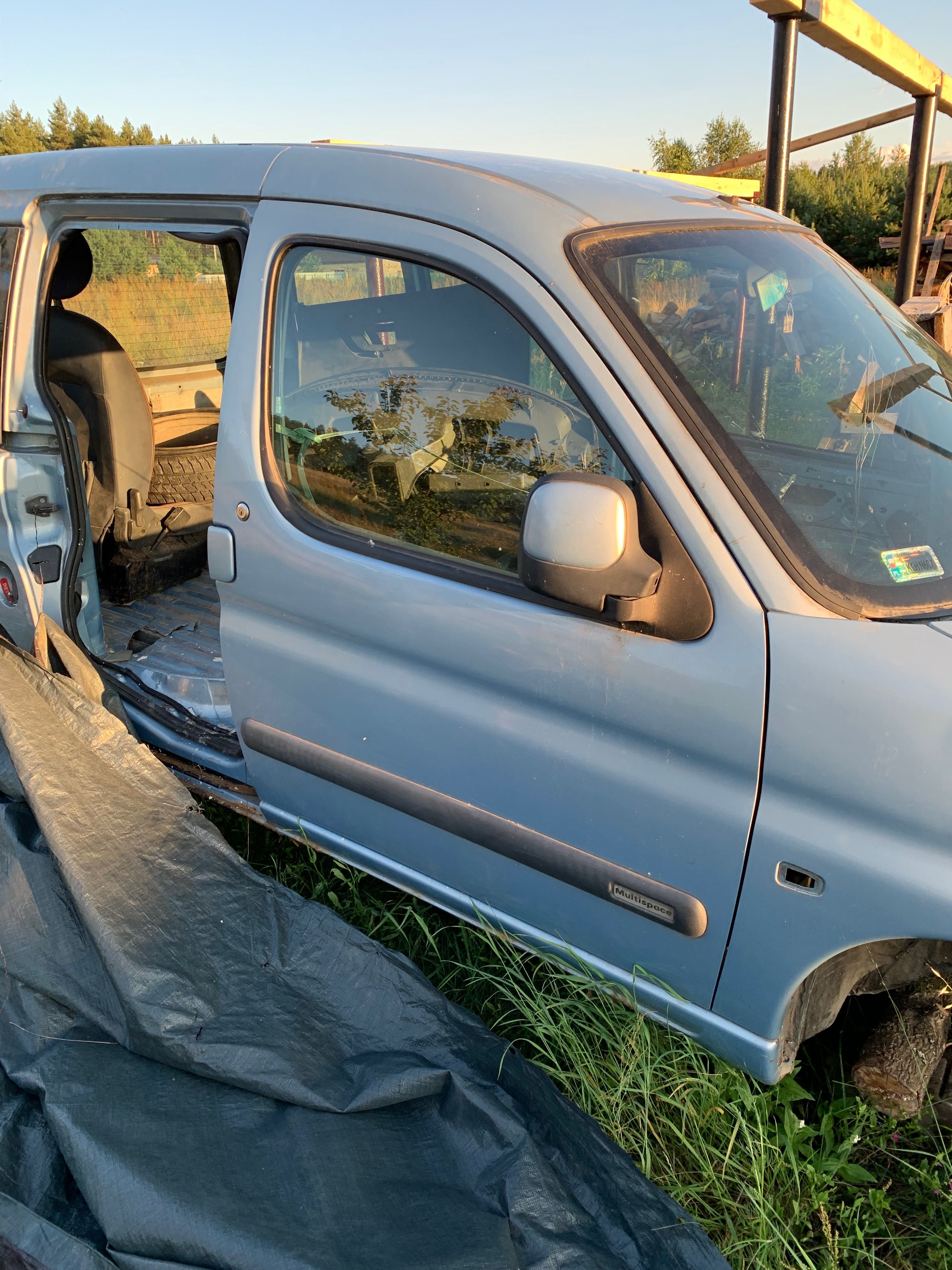 Двері до Citroen Berlingo