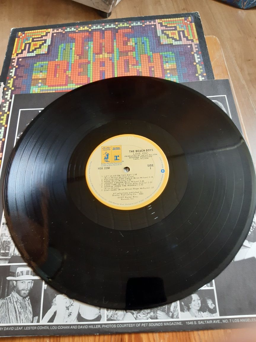 Winyl  " The Beach Boys Love You "