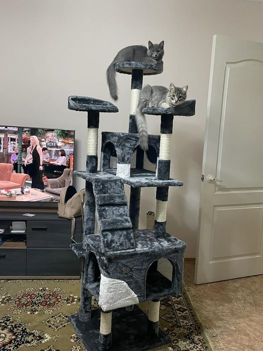 Когтеточка, домик для кота