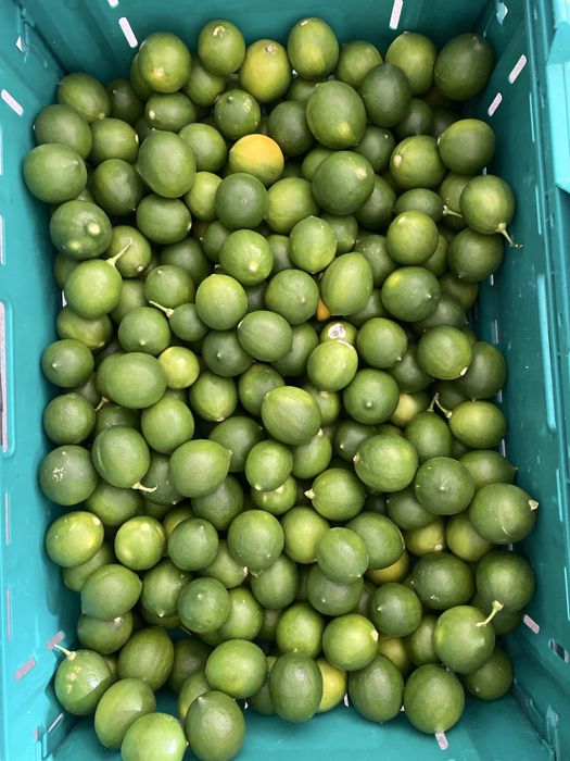 Limas Biológicas Frescas
