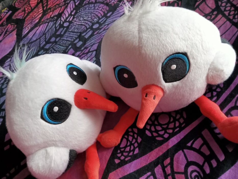 Ptaszki bociany bliźnięta słodziaki okrągłe