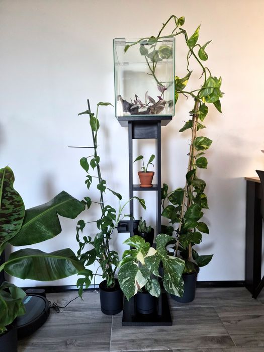 Akwarium aquael kostka krewetkarium terrarium