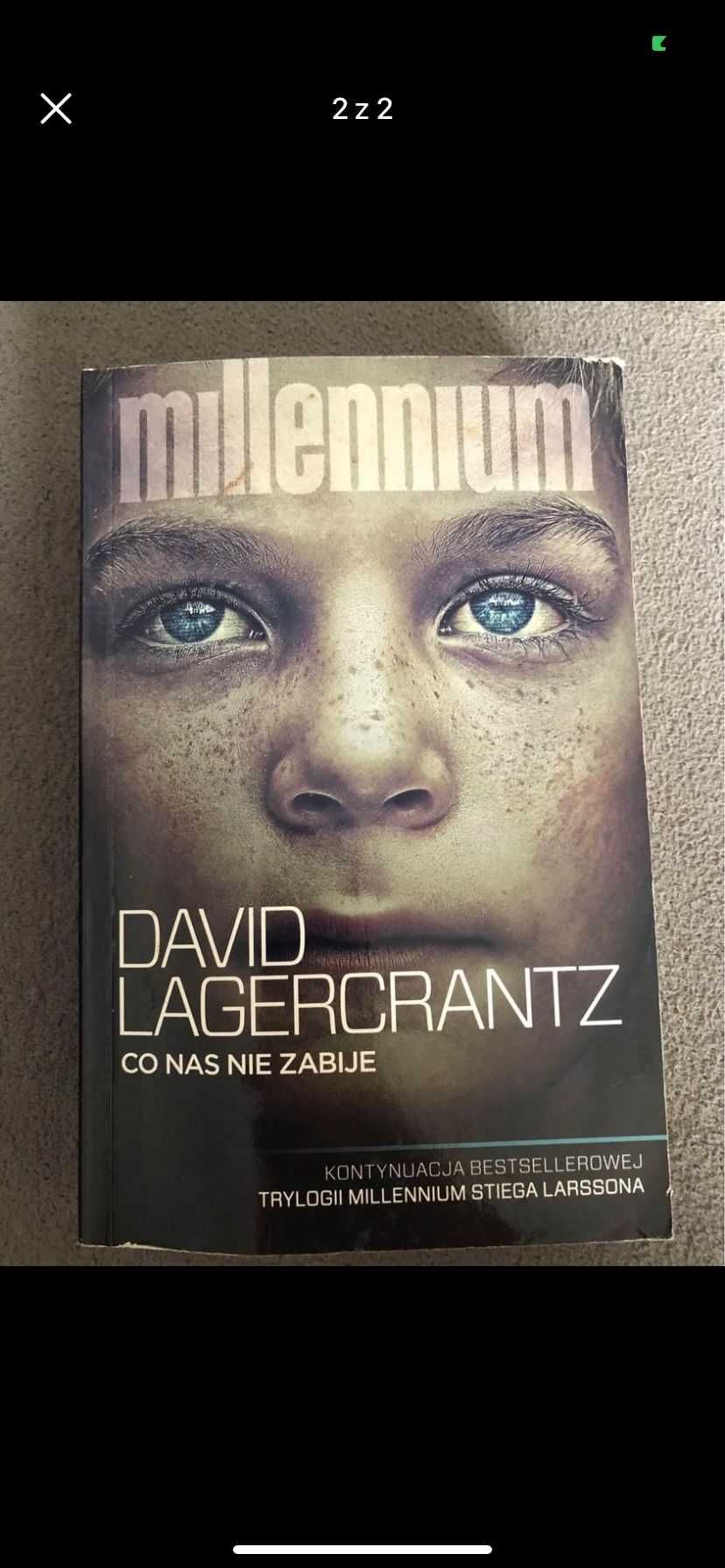 Dawid Lagercrantz, Co nas nie zabije