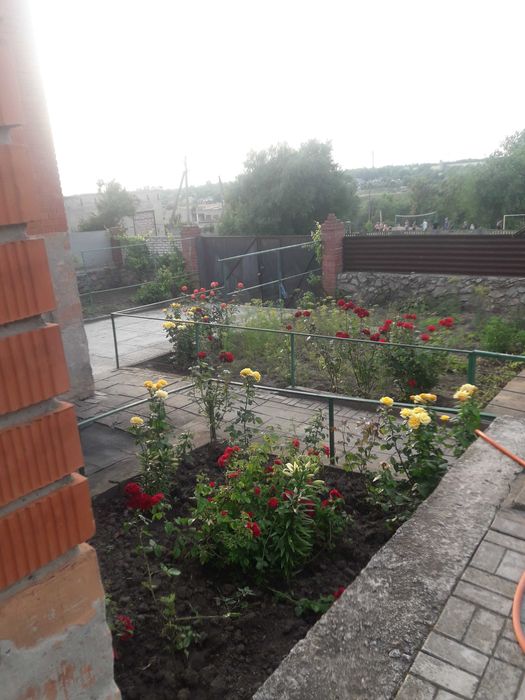 Сдам дом у залива посуточно