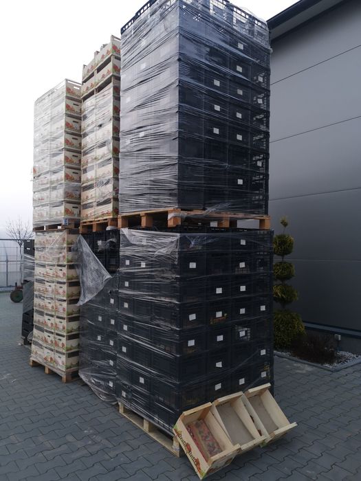 Sprzedam skrzynki plastikowe