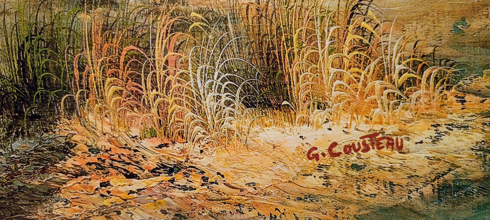 Piękny obraz, kupiony w Chorwacji, 70cm x 50 cm G.Cousteav