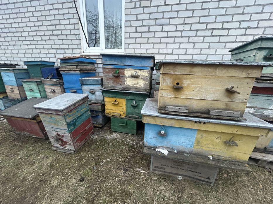 Продам вулики лежаки і корпусні рамки суш та медові