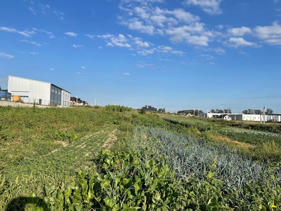 Три земельні ділянки біля Львова/Земельна ділянка/Велика ділянка