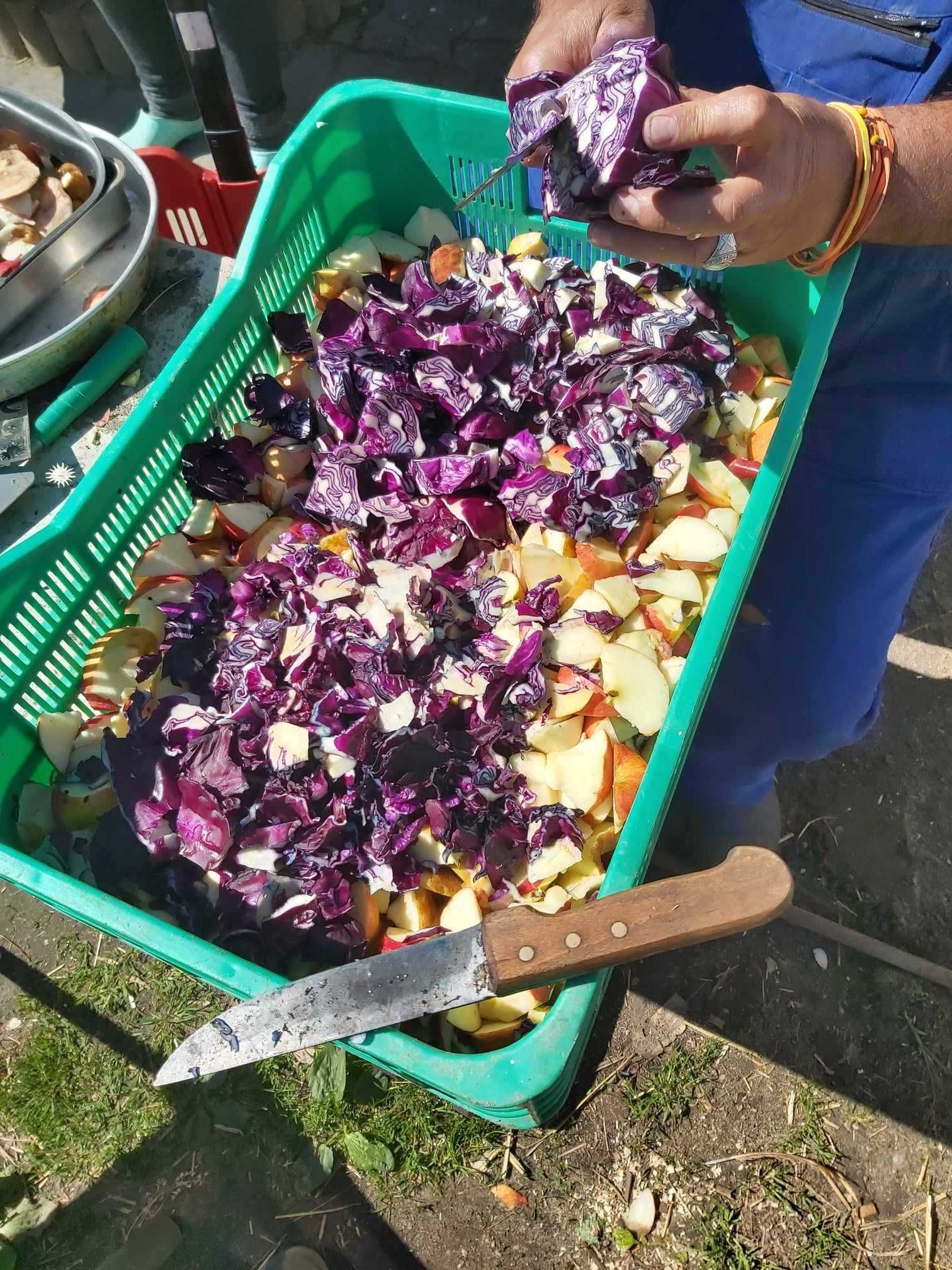 Jagnięcina Kozina  baranina świeże mięso z kóz tusze naturalnie chowu