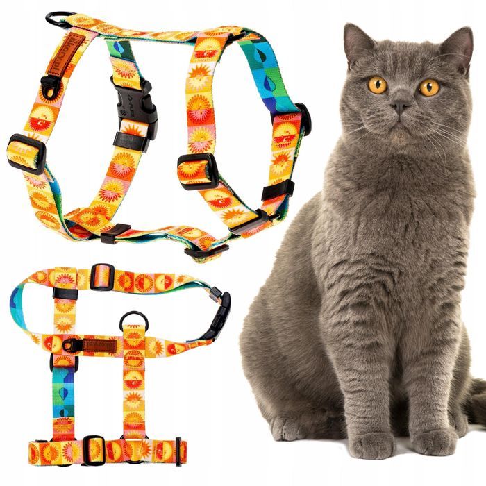 szelki guard dla kota brytyjskiego egzotycznego regulowane  kolorowe