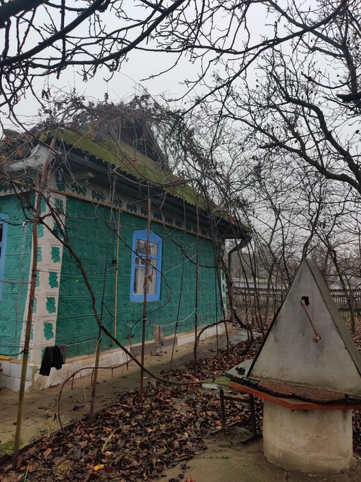 Будинок  в селі Оляниця