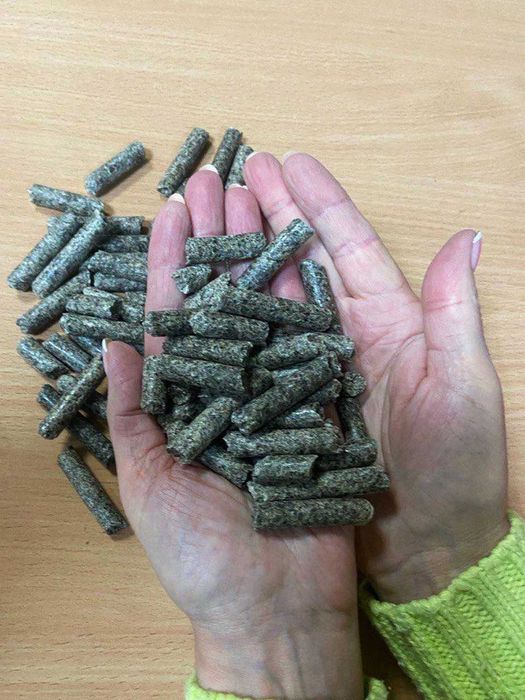 Wysłodki buraczane LUZEM lub w BIG-BAGU-Małaszewicze -certyfikat GMP+