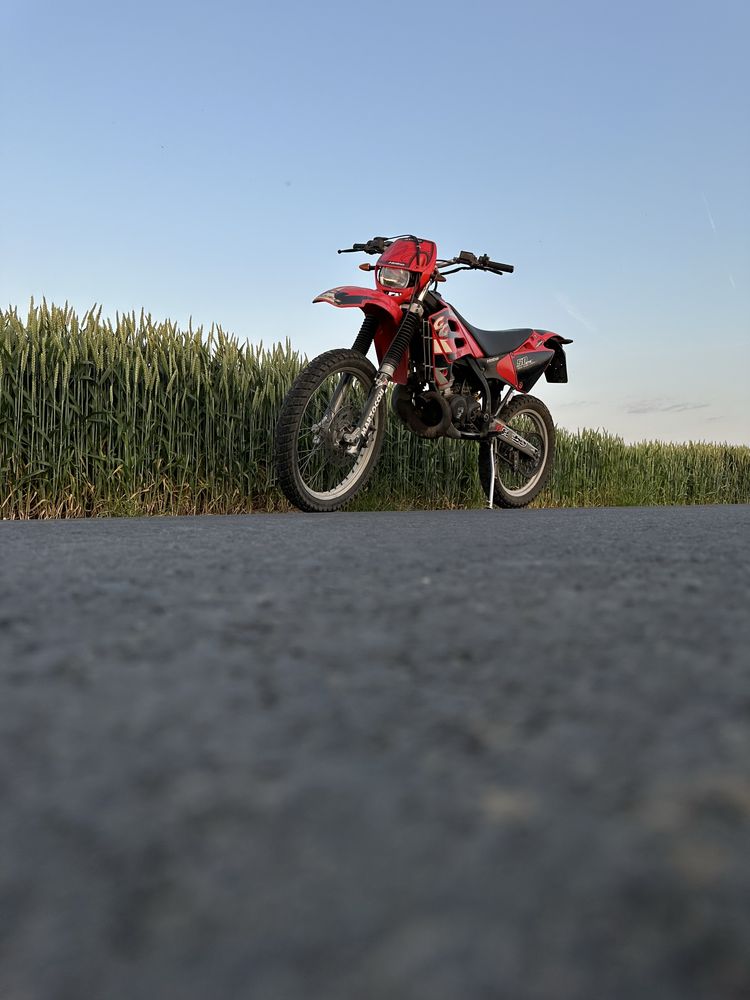 Gas gas ec 50 rookie